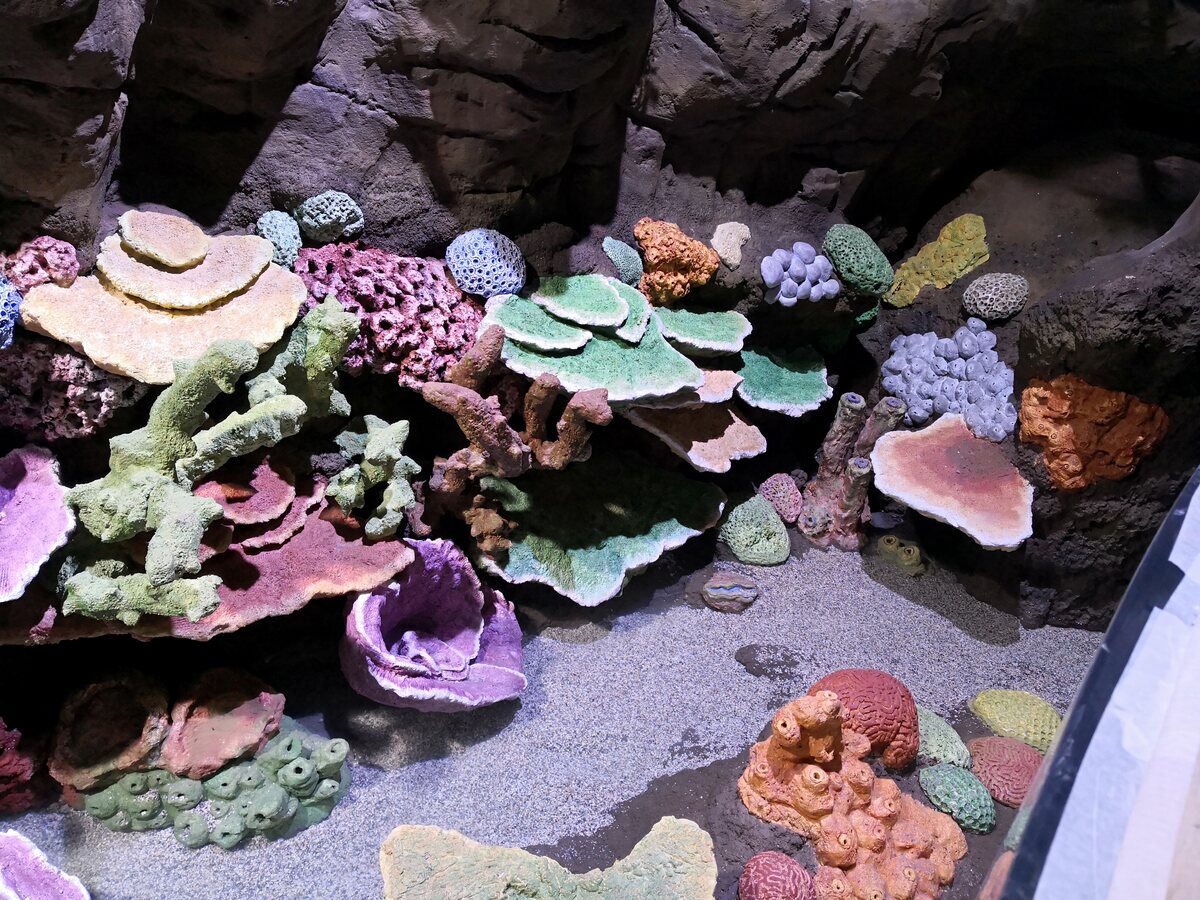 Hand-finished artificial coral elements arranged before installation