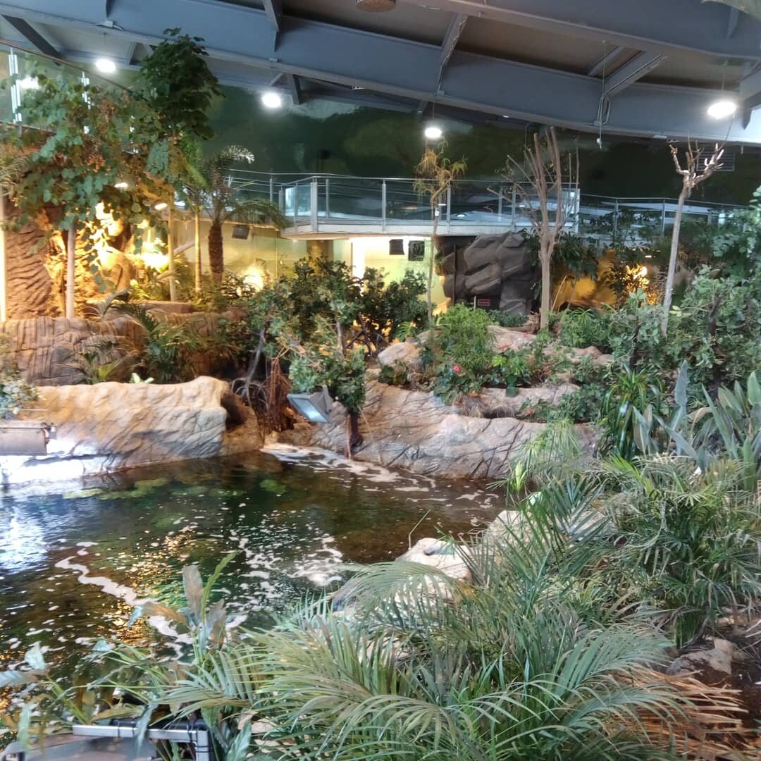 Tropical habitat with vegetation, rockwork and water inside the Biodome of Granada