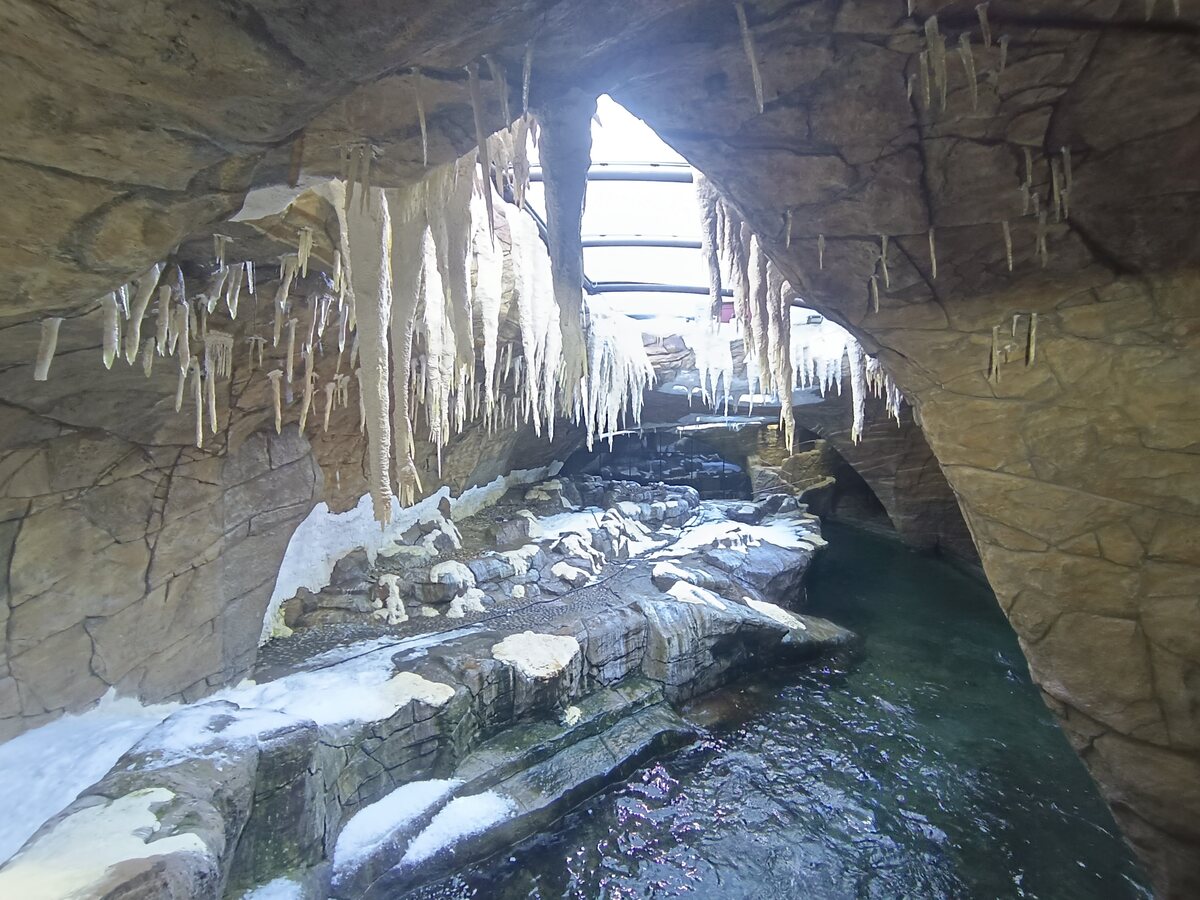 Artificial cave with stalactites above a calm water pool at Pairi Daiza