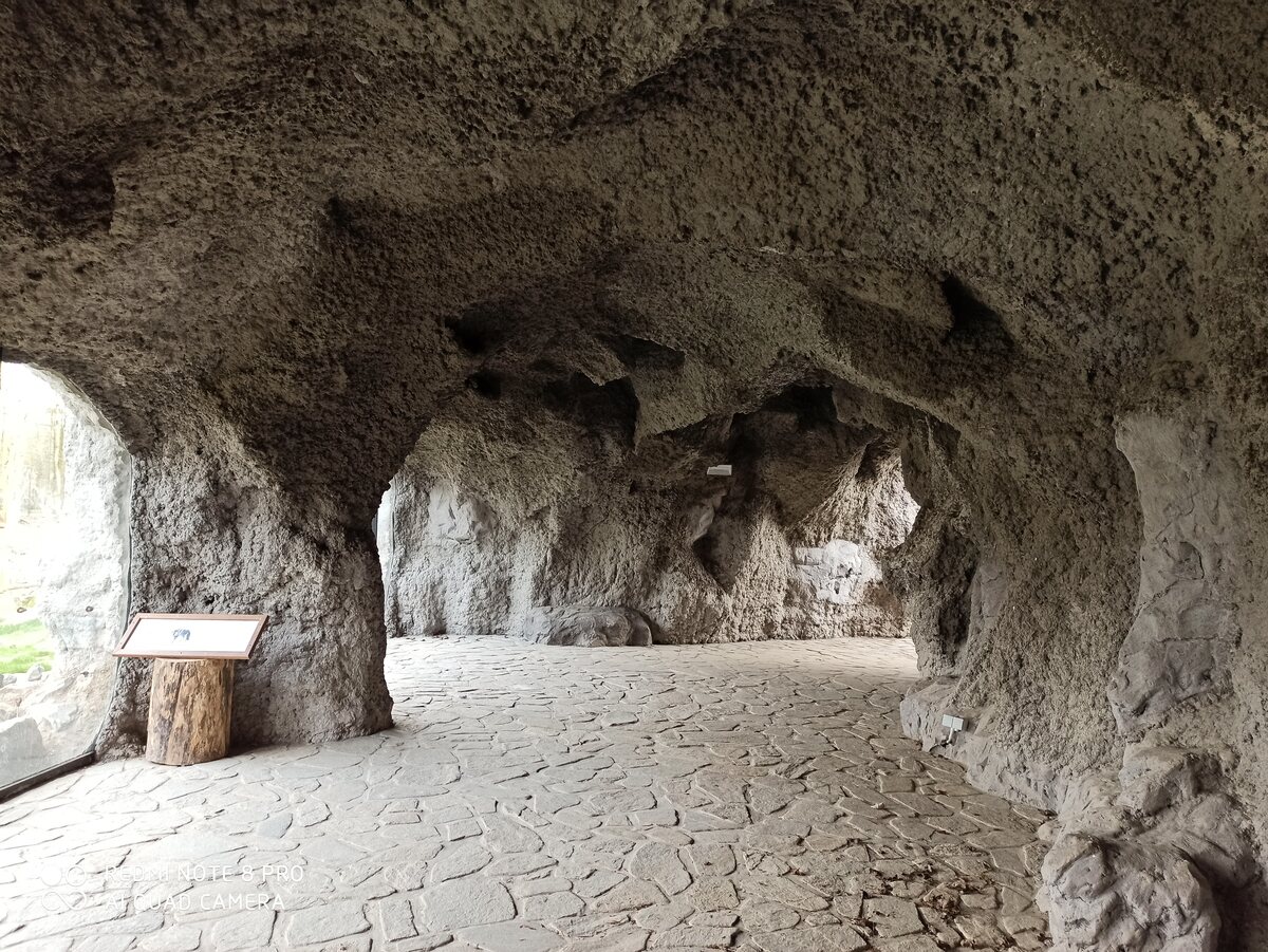 Carved artificial rock chamber with smooth sculpted walls at Pairi Daiza