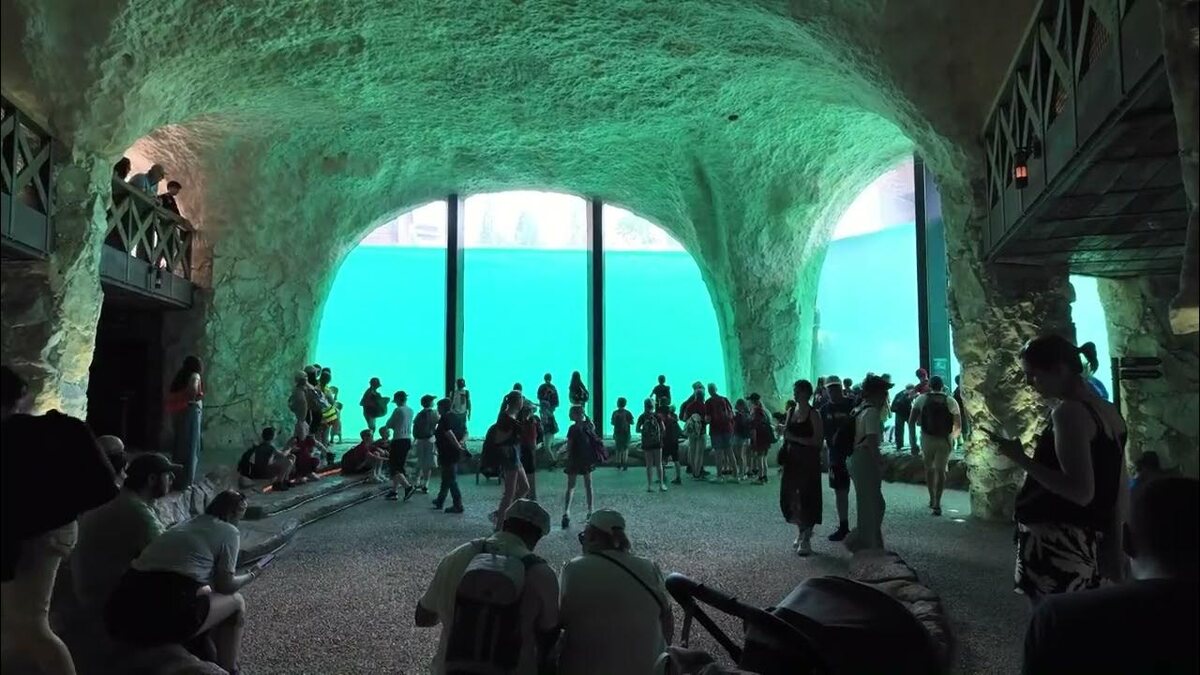 Visitors in a turquoise immersive viewing room at Pairi Daiza