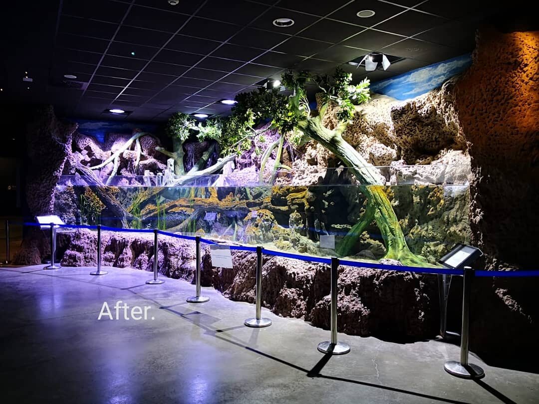 The same exhibition space after the themed remodelling at Seville Aquarium