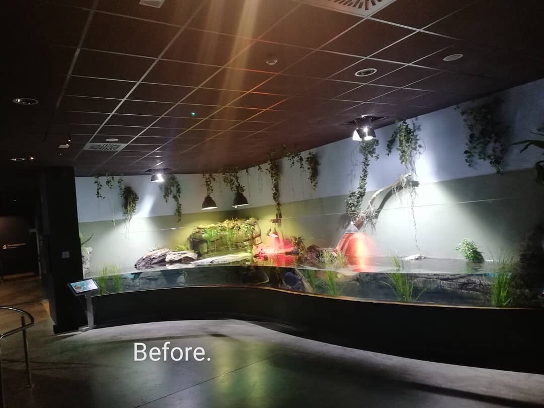 Exhibition space before the remodelling at Seville Aquarium