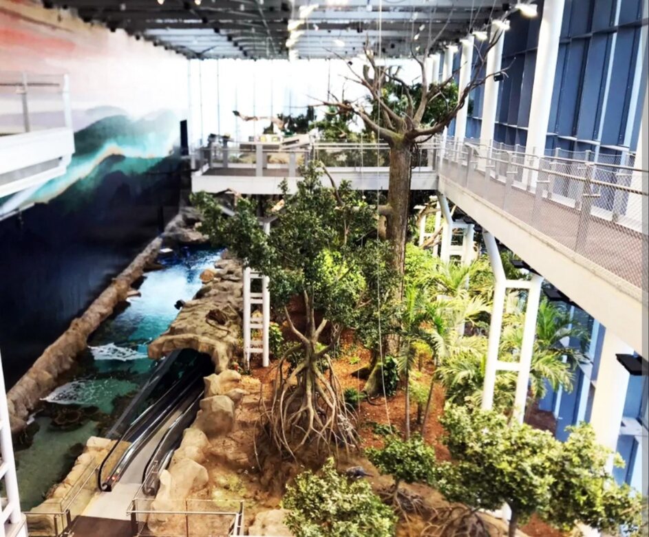 Themed mangrove atrium with vegetation across multiple levels at the Sheikh Abdullah Al-Salem Cultural Centre